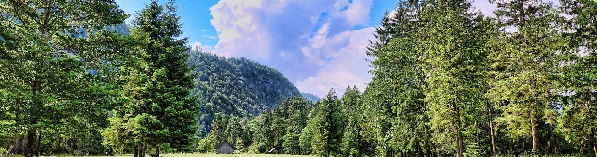 Natura Cison di Valmarino